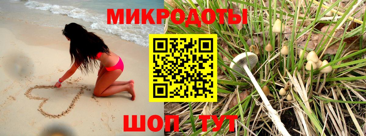 Псилоцибиновые грибы Psilocybe  Вход с VPN  Бор 